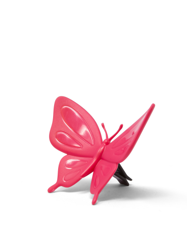 Butterfly | White Cucumber